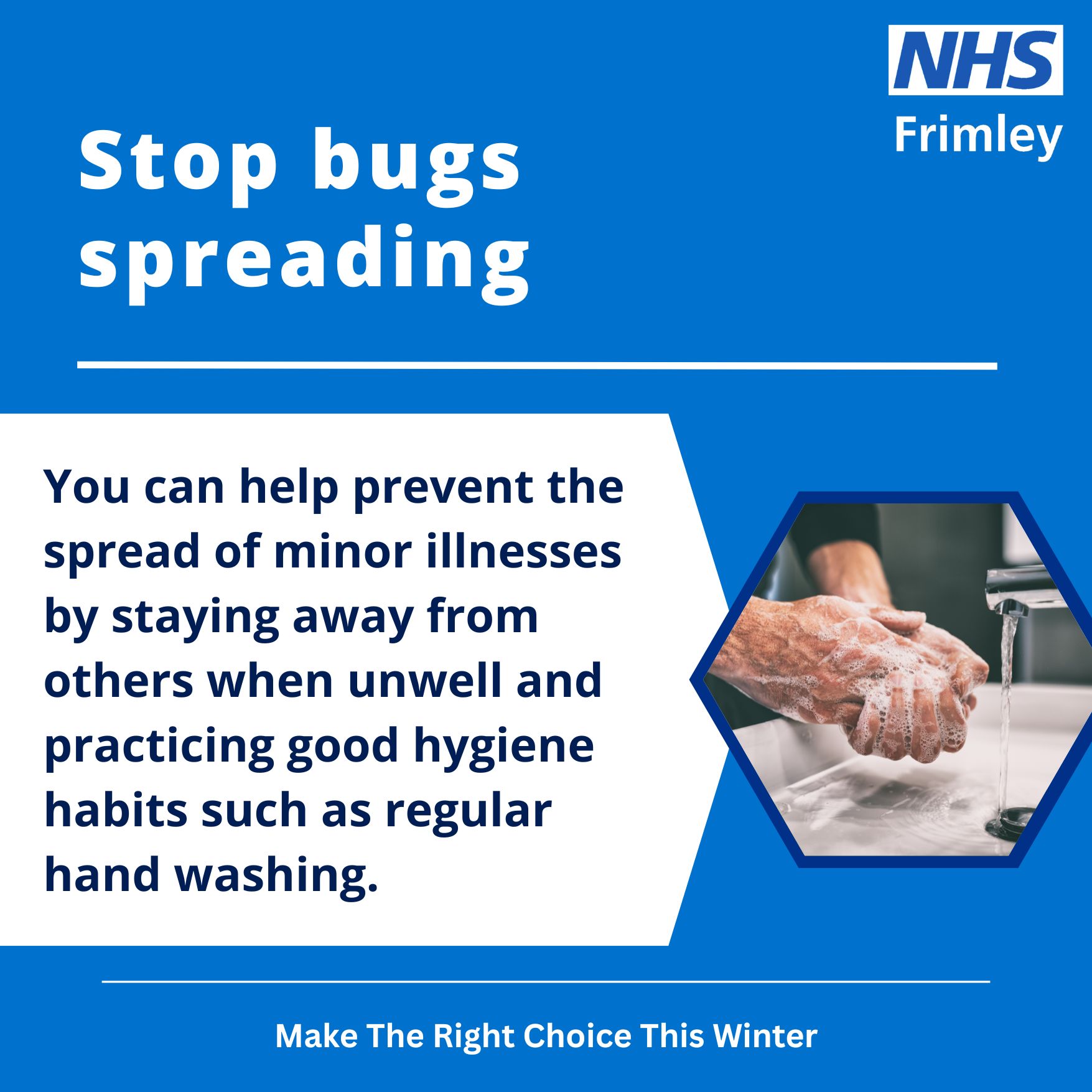 Minor illnesses social media image - bugs spreading 2